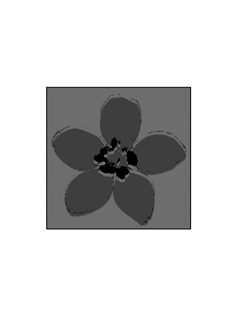 Rundholz Black Label - Woll mix Schal mit Platziertem Druck - 2253361402