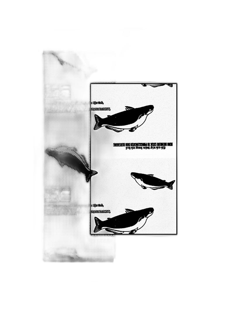 Rundholz Black Label - Weiter baumwoll seiden schal mit druck - 1253361404