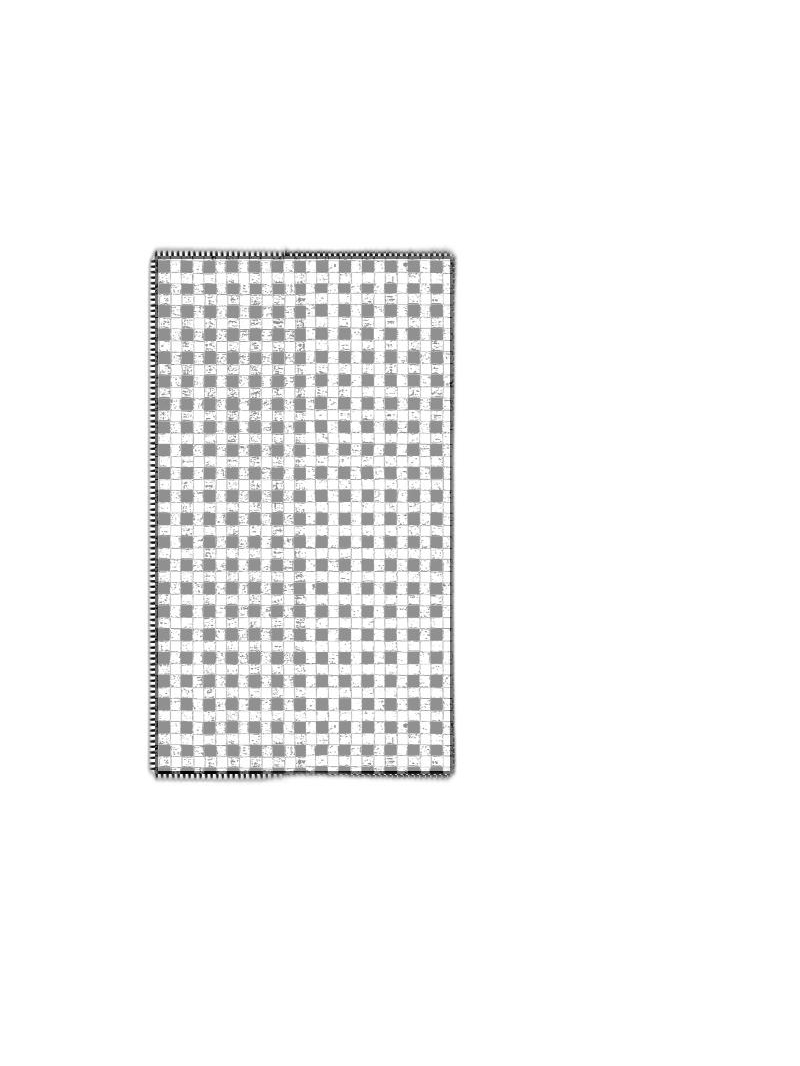 Rundholz Black Label - Halbtransparenter baumwoll seiden schal mit druck - 1253361406