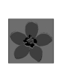 Rundholz Black Label - Woll mix Schal mit Platziertem Druck - 2253361402